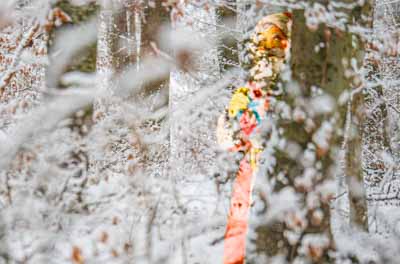 Nikolaus im Winterwald