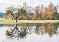 Spiegelung im Wiesensee