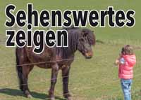 Fotogestaltung Sehenswertes