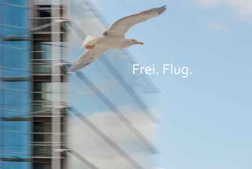 Frei. Flug. Fotoworte