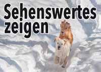 Artis Chili Schnee Sehenswertes