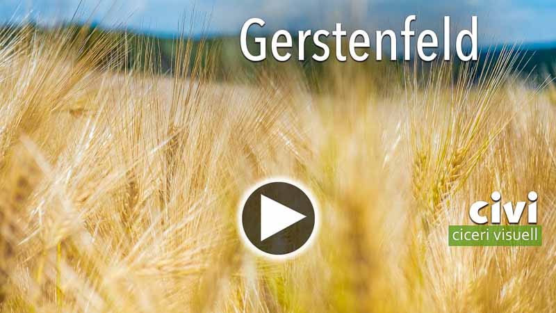 Video von Gerstenfeld