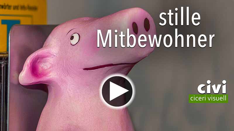 ein Video von stillen Mitbewohnern