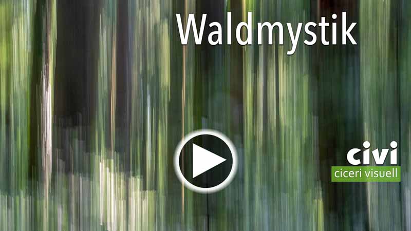 Video von Waldmystik