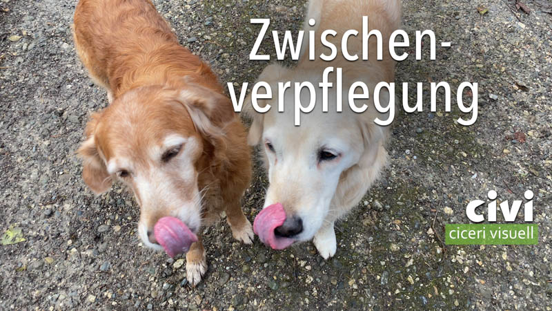 Artis und Chili bekamen und genossen eine Zwischenverpflegung.