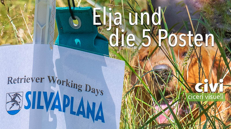 ein Video von Elja während der Arbeit an 5 Posten am Retriever working day in Silvaplana