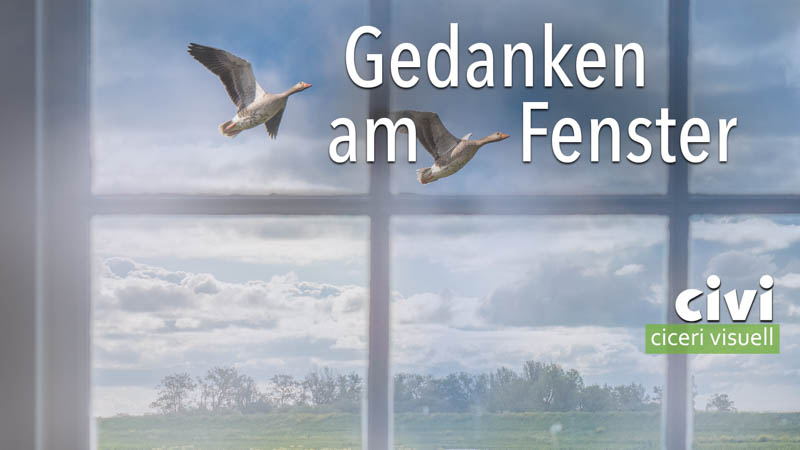 Gedanken am Fenster freien Flug lassen