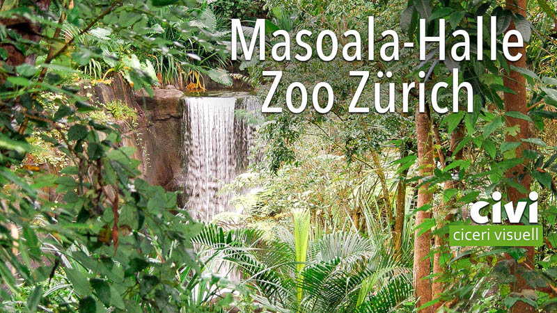 Masoala-Halle im Zoo Zürich