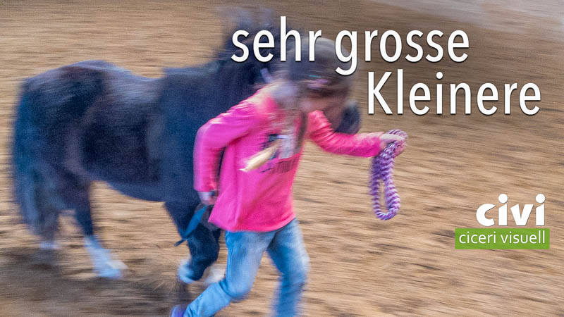 im Training bei zwei sehr grossen Kleineren