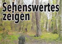 Wald Wasserfarben Sehenswertes